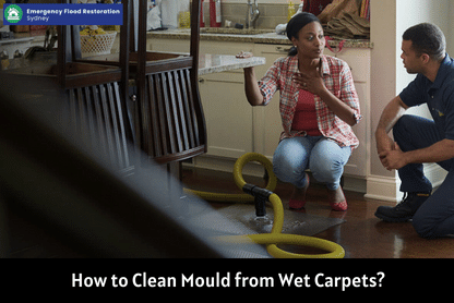 How-to-Clean-Mould-from-Wet-Carpets