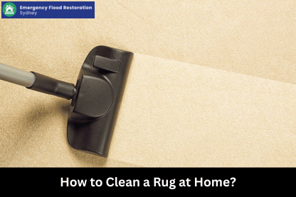How-to-Clean-a-Rug-at-Home
