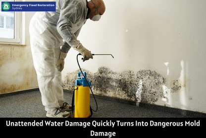 Unattended-Water-Damage-Quickly-Turns-Into-Dangerous-Mold-Damage