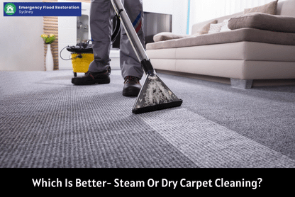 Which-Is-Better-Steam-Or-Dry-Carpet-Cleaning
